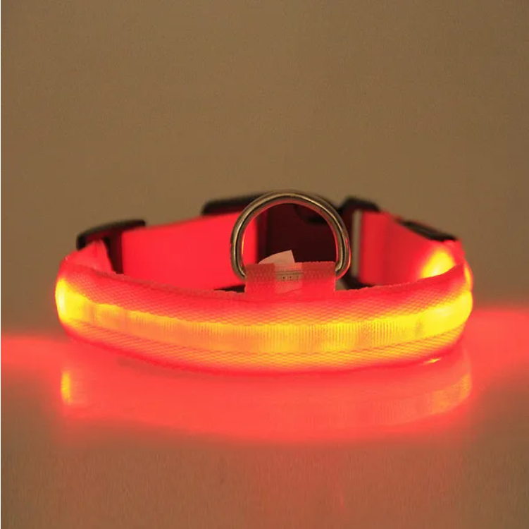 LED Safety Collar for Dogs & Cats
