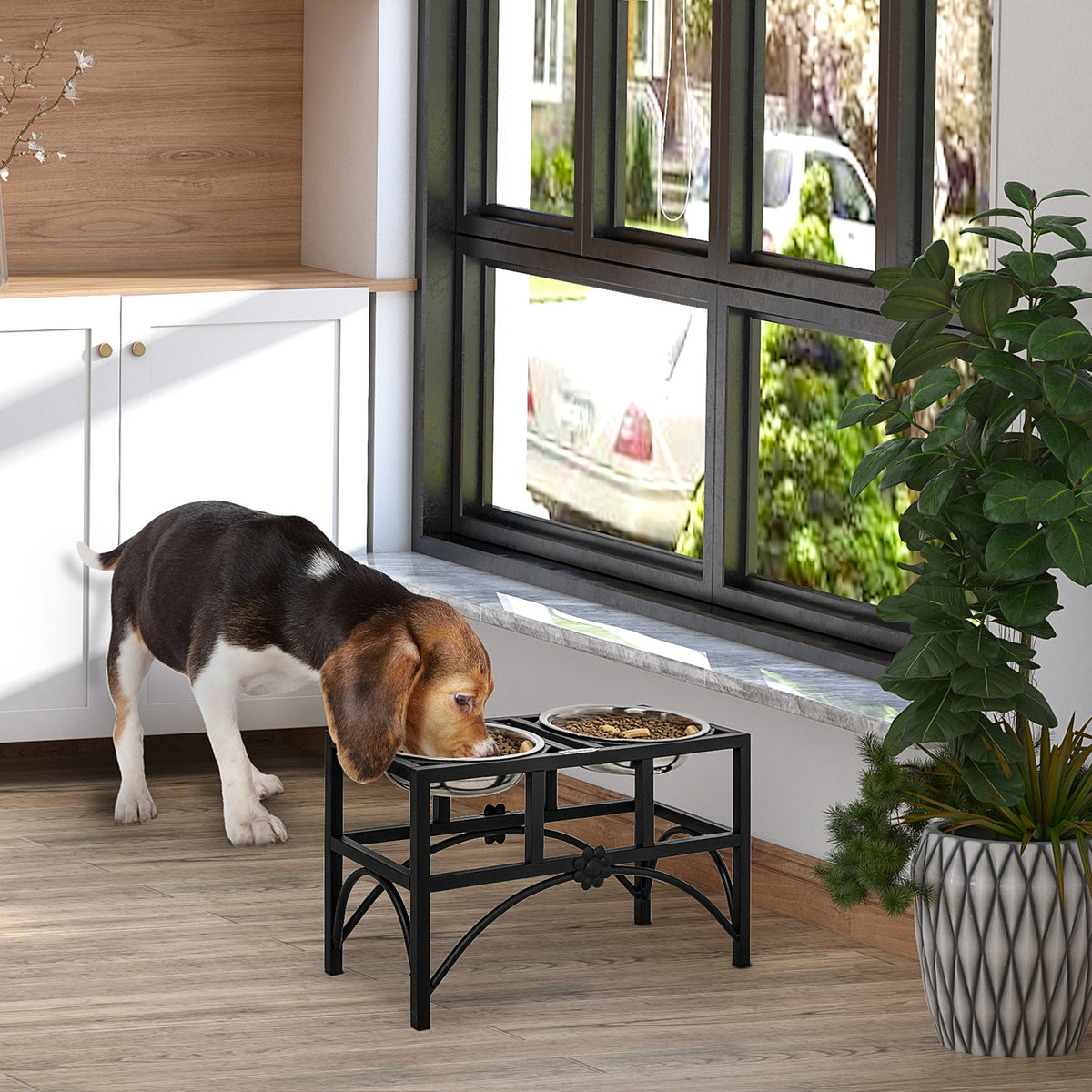 Elevated Stainless Steel Dog Feeding Station
