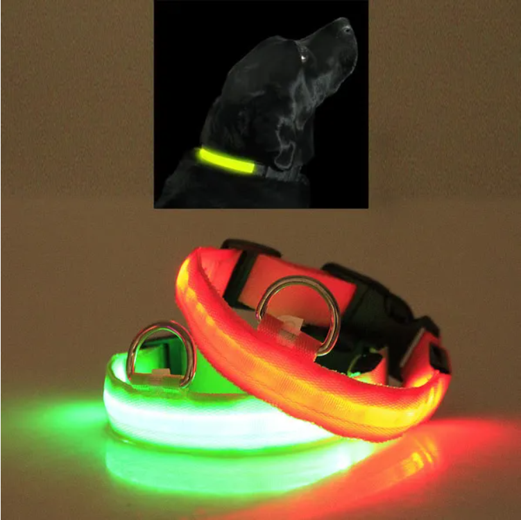 LED Safety Collar for Dogs & Cats