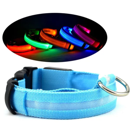 LED Safety Collar for Dogs & Cats