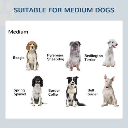 Elevated Stainless Steel Dog Feeding Station