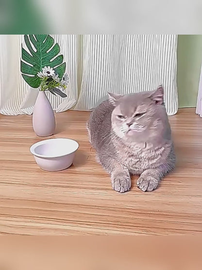 Automatic Gravity Pet Feeder & Water Dispenser